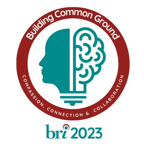 2023 Theme Blue Ridge Institute